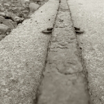 SONY DSC