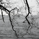 SONY DSC